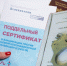 Жителей Приангарья просят сообщать о продавцах поддельных сертификатов о вакцинации от COVID-19 - Shelehov.Irk.Today