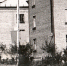 Листая фотоальбом… - Газета Шелеховский вестник